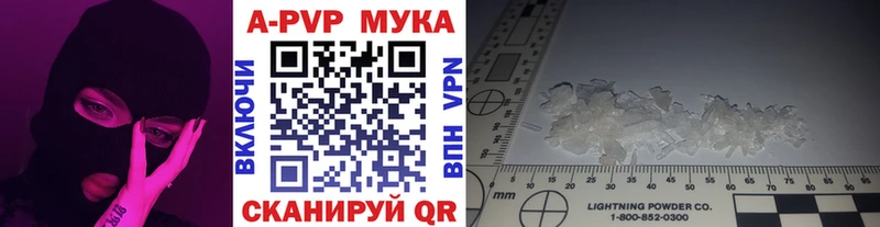 Купить закладки  Ядрин  A-PVP СК КРИС 