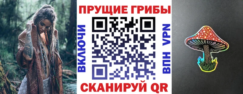 Псилоцибиновые грибы ЛСД  Купить закладки  Ядрин 